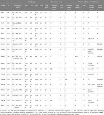 Multifactorial resistance mechanisms associated with resistance to ceftazidime-avibactam in clinical Pseudomonas aeruginosa isolates from Switzerland